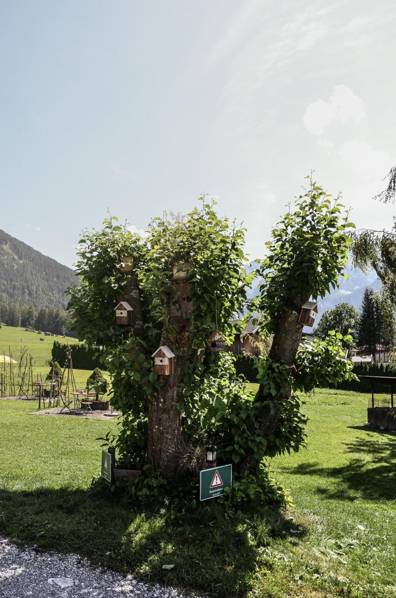Hotel Ehrwalderhof Kültér fotó